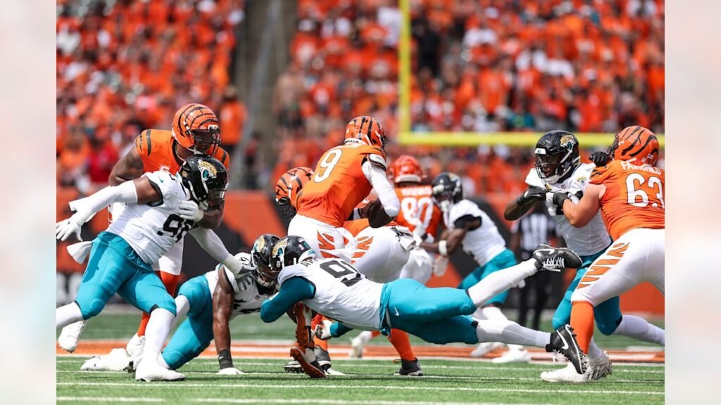 Jacksonville Jaguars vs Bengals Match Player Stats